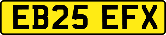 EB25EFX