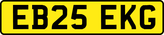 EB25EKG