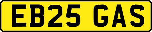 EB25GAS