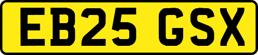 EB25GSX