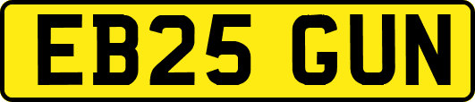 EB25GUN