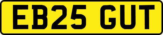 EB25GUT
