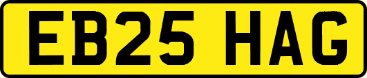 EB25HAG