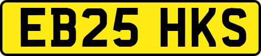 EB25HKS