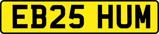EB25HUM