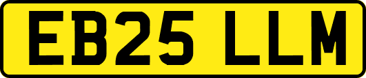 EB25LLM