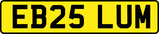 EB25LUM