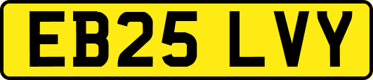 EB25LVY