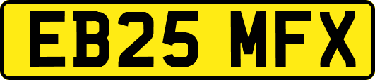 EB25MFX