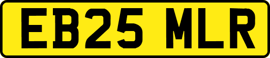 EB25MLR