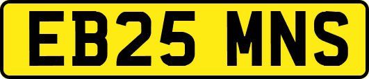 EB25MNS