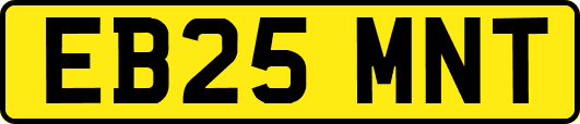 EB25MNT