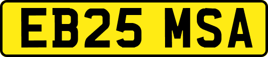EB25MSA