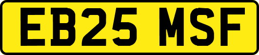 EB25MSF