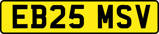 EB25MSV