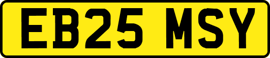 EB25MSY