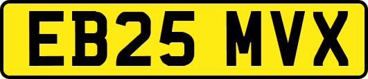 EB25MVX