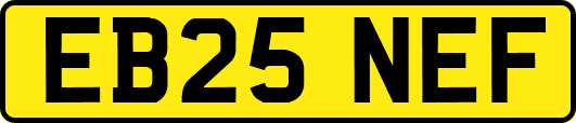 EB25NEF