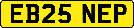 EB25NEP