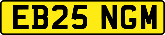 EB25NGM