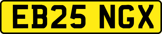 EB25NGX