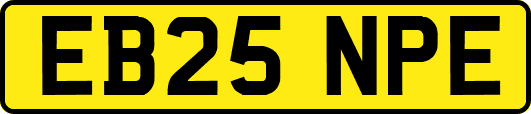 EB25NPE