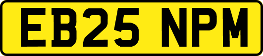 EB25NPM