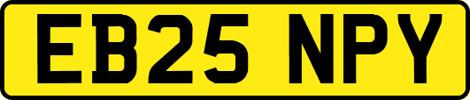 EB25NPY