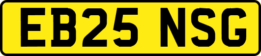 EB25NSG