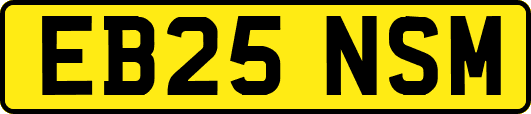 EB25NSM