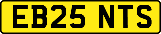 EB25NTS