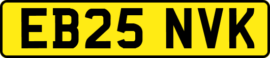 EB25NVK