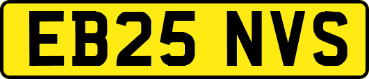EB25NVS