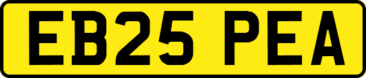 EB25PEA