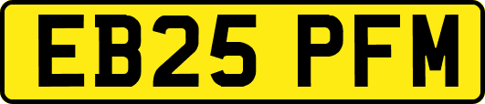 EB25PFM