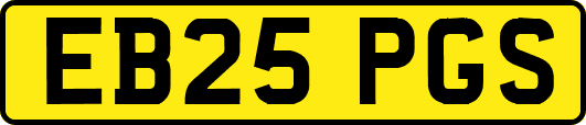 EB25PGS