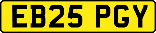 EB25PGY