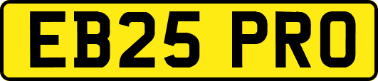 EB25PRO