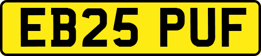 EB25PUF