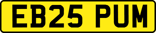 EB25PUM