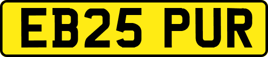 EB25PUR