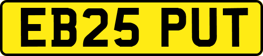 EB25PUT
