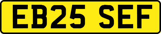EB25SEF