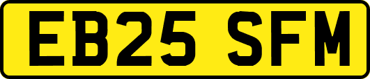 EB25SFM