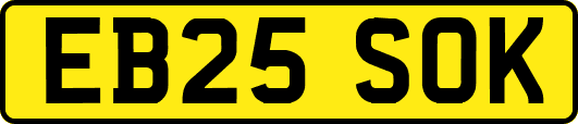 EB25SOK