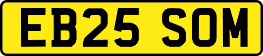 EB25SOM