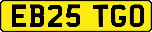 EB25TGO