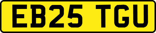EB25TGU
