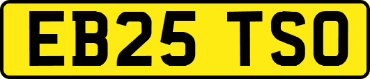 EB25TSO