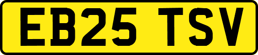 EB25TSV